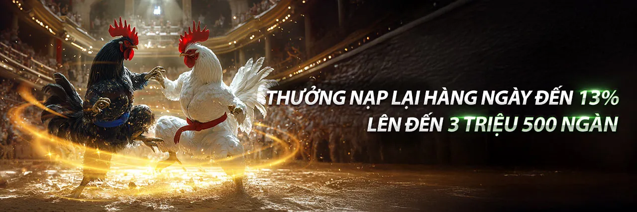 Sân đấu đá gà trực tuyến sôi động tại 98ưin